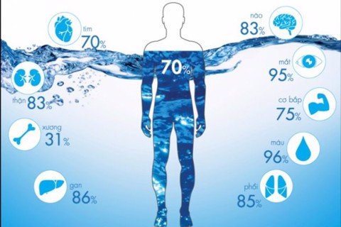 Tác dụng ít biết của nước Hydrogen trong việc phòng chống lão hóa