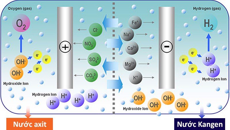Máy lọc nước Kangen JRIV hoạt động dựa vào nguyên lý điện phân chia tách nước thành 2 nhóm nước